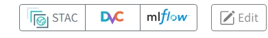 MLFlow Button